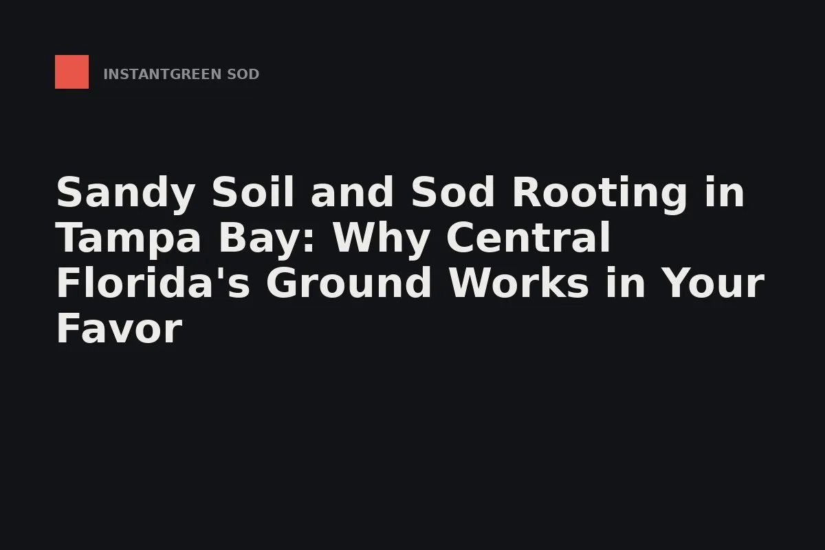 Squares of fresh-cut sod stacked on a pallet beside loosened sandy soil in a Tampa Bay yard.