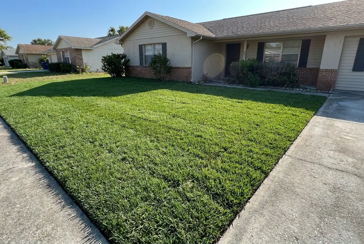 Freshly replaced lush green sod lawn in front of a Florida home