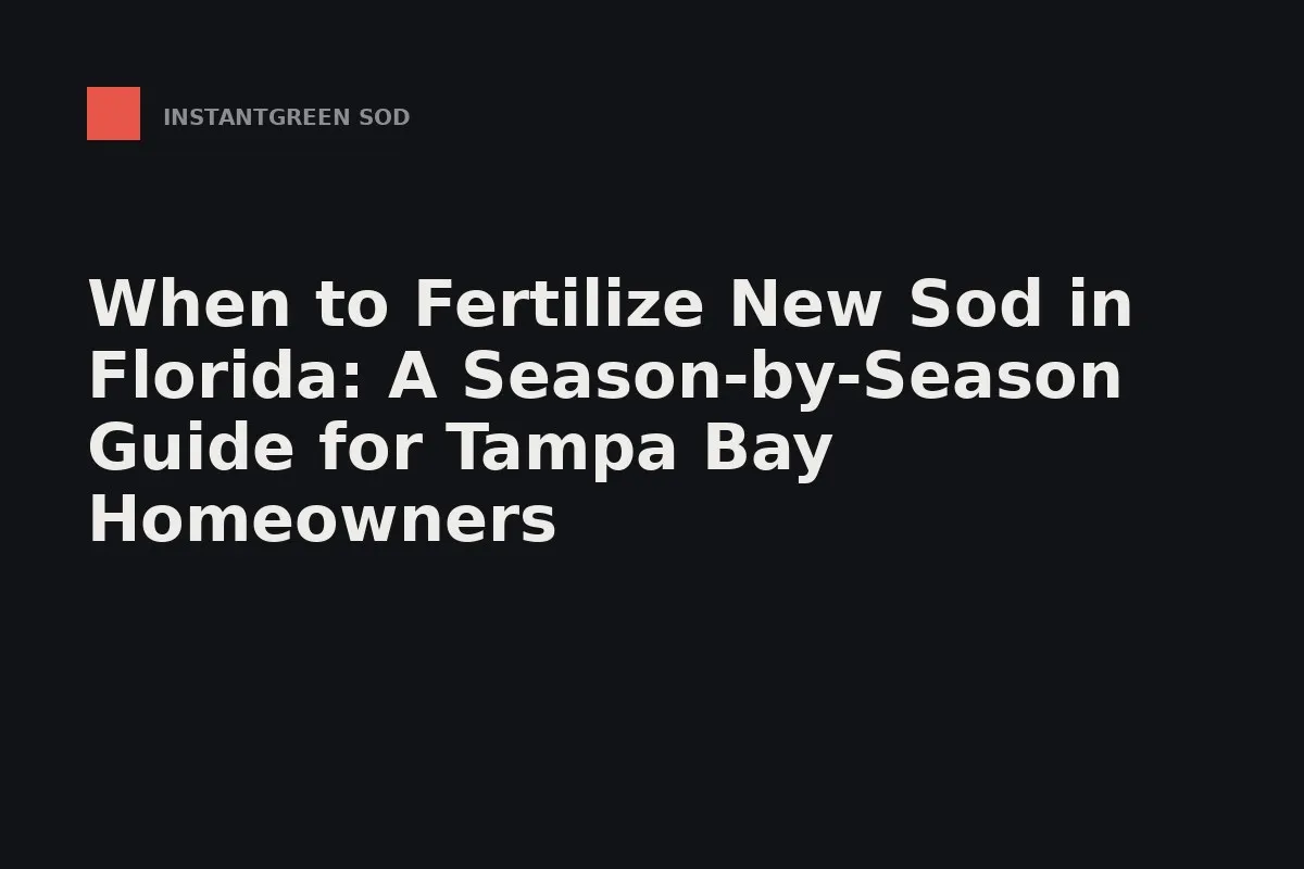 When to Fertilize New Sod in Florida: A Season-by-Season Guide for Tampa Bay