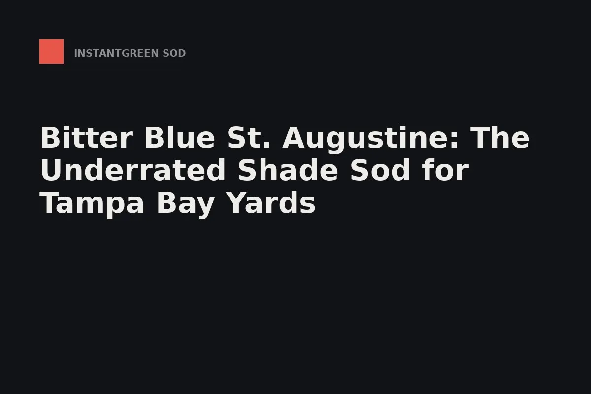 Squares of fresh-cut Bitter Blue St. Augustine sod stacked on a pallet beside a shaded, oak-canopied Tampa Bay lawn.
